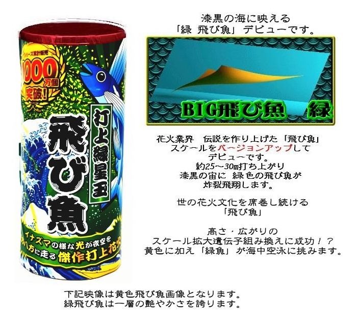 BIG飛び魚（緑）